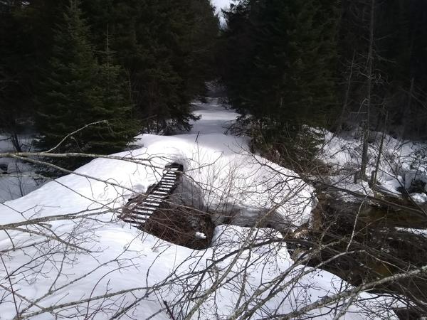 Bridge over Harvey creek along the "big loop".
