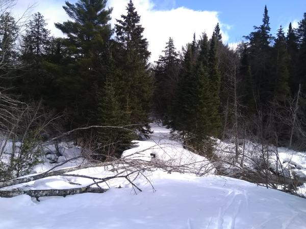 Bridge over Harvey creek along the "big loop".