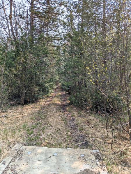 Path across the bridge over the North Branch of the Two Hearted river.