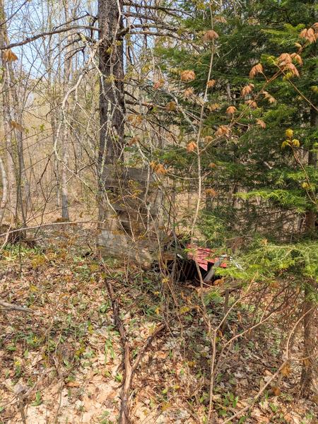 Debris in the woods on the east side of  the North Branch of the Two Hearted river.