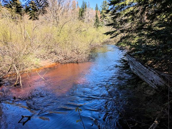 The Sucker River to the east of the Cabin.