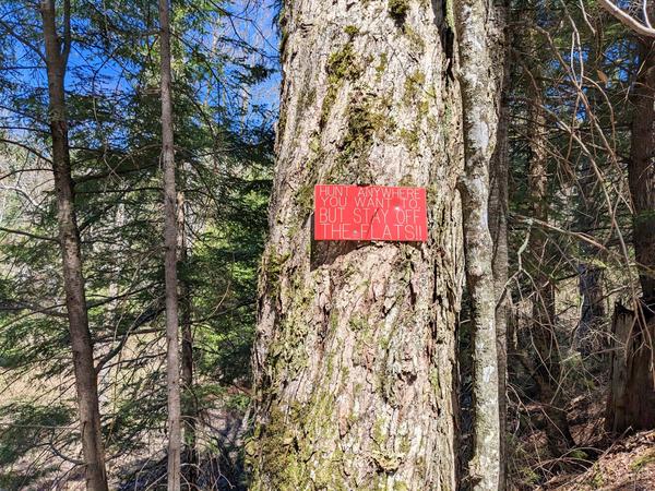 Sign in the woods on a ridge above the Sucker River to the east of the Cabin.