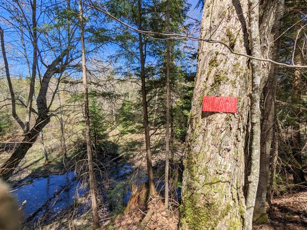 Sign in the woods over looking the Sucker River to the east of the Cabin.