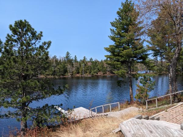 View of Kennedy Lake from Lester's camp.