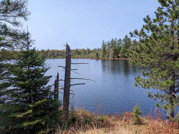 View of Kennedy Lake from Lester's camp.