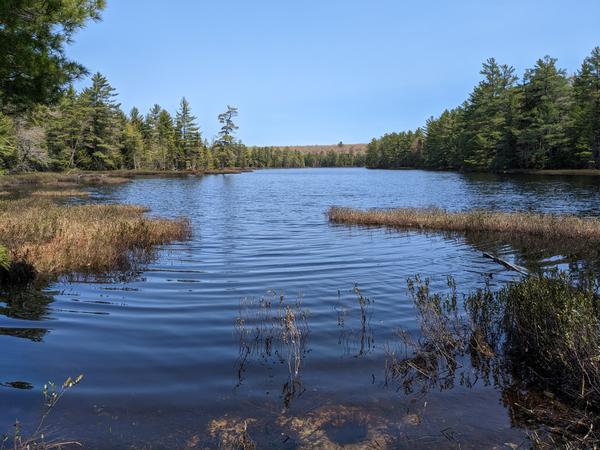 View of Newton Lake from the mostly empty site.