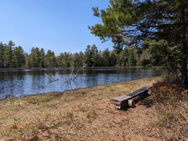 Large open area (with a bench) along Newton Lake.