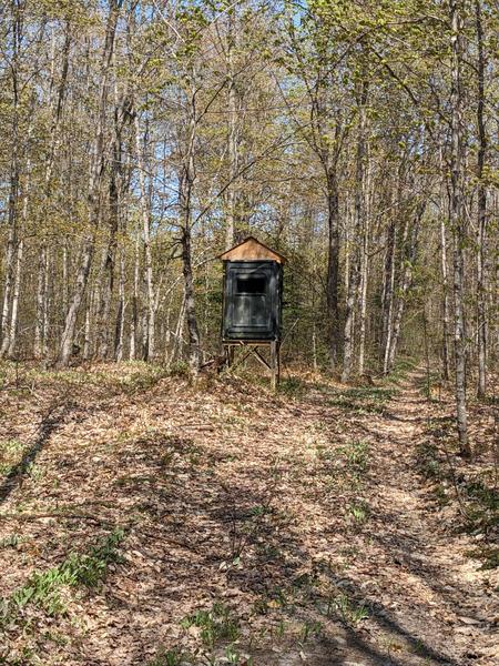 Deer blind in the woods on the other side of McCloud grade from the Cabin.