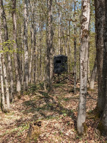 Yet another deer blind in the woods on the other side of McCloud grade from the Cabin.
