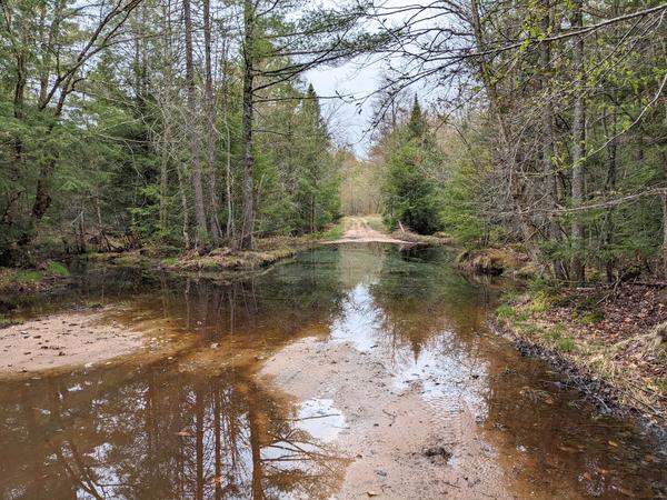 The usual large "pond" across the road along old 443.