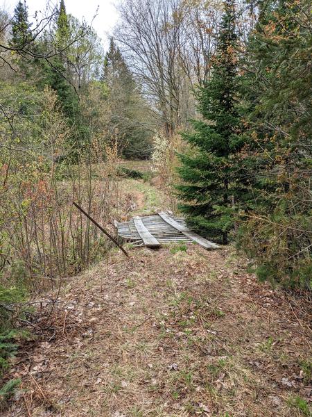 The bridge across Harvey Creek on the "big loop".