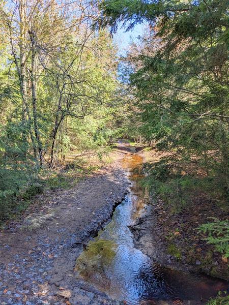 Trail to the Barfield Lakes, this section has turned into a creek.