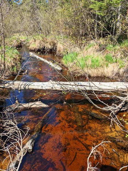 Porter Creek as seen from the bridge on the way to the Barfield Lakes.