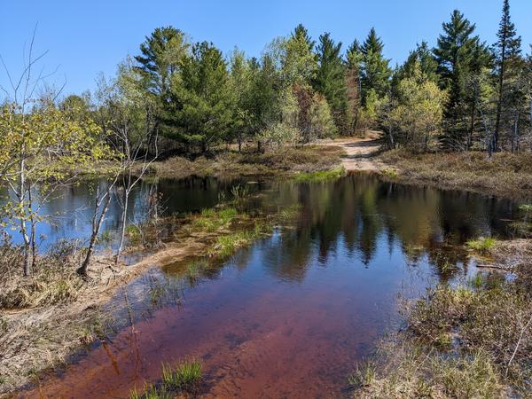 Large "lake" blocking the trail to the Barfields Lakes right before turn off.