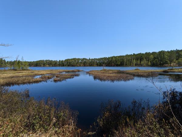 First view of the Barfield Lakes.