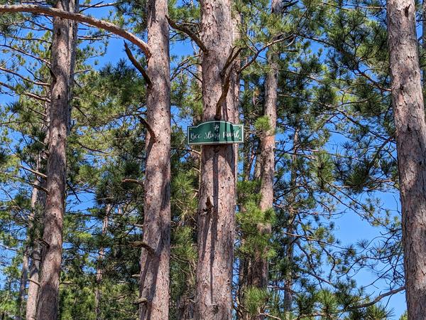 "Bee Sling Point"(?) on the ridge between two of the Barfield Lakes.