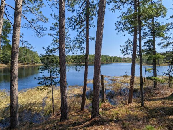 One of the Barfield Lakes as seen from the ridge.