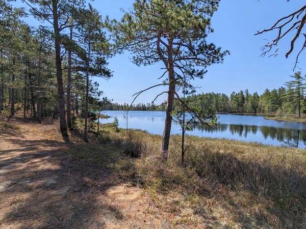 Another of the Barfield Lakes as seen from the ridge.