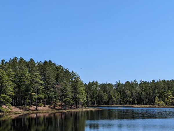 Bird flying above one of the Barfield Lakes as seen from the ridge.