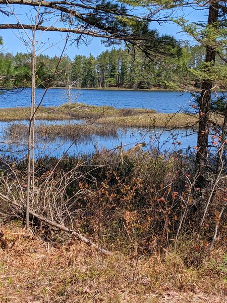 First view of the Barfield Lakes.