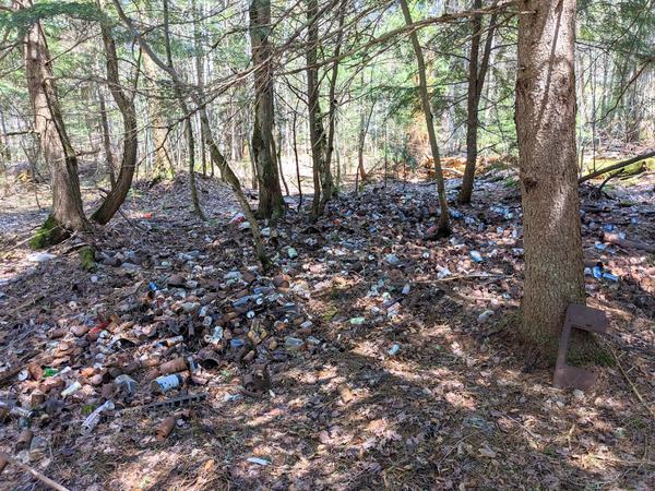 Garbage pile (many, many beer cans) at the ruined camp site off of McCloud Grade.