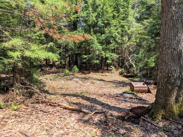 More complete view of the ruined camp site off of McCloud Grade.