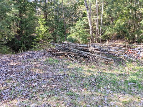 Beginnings of a brush pile for Gentlemen's weekend. Collected from the area close to the Cabin.