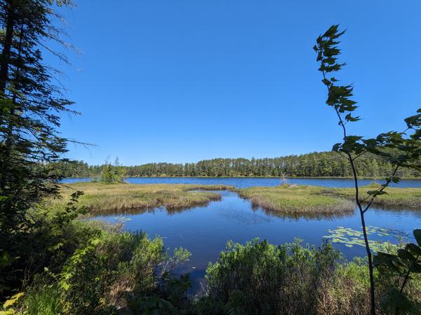 Barfield Lakes.