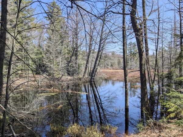 Small pool near North Lake.