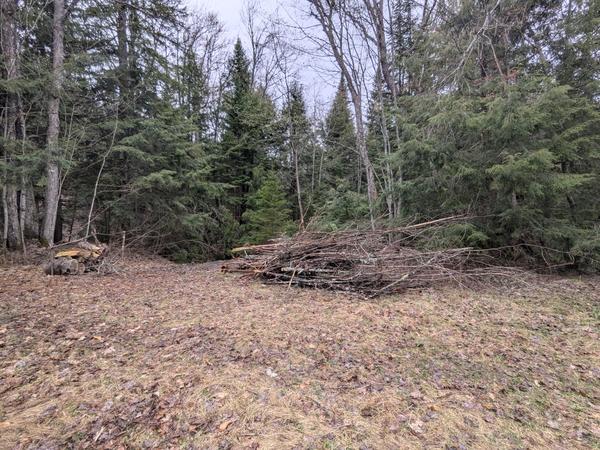 The growing brush pile.