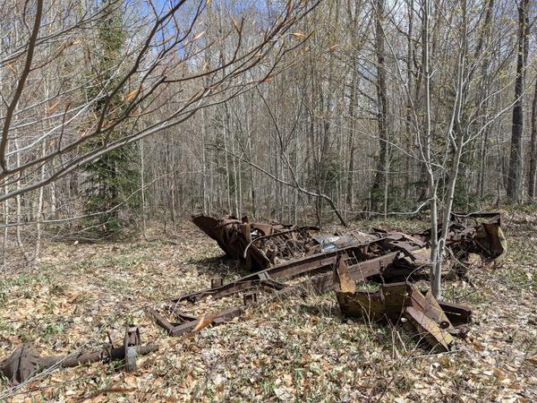 Abandoned trucks in the woods.