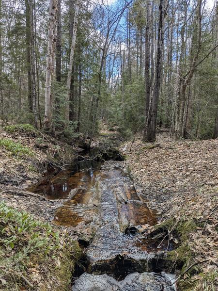 Small Creek south of Sitka Lake.