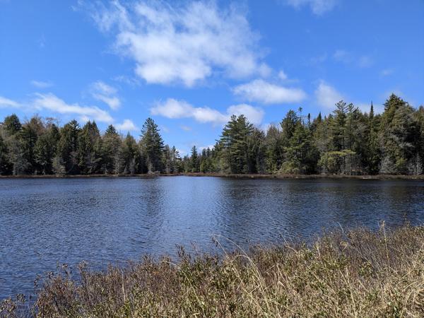 Sullivan Lake.