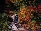 Me and my bike on a makeshift bridge