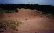 Matt
	  running up dunes