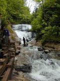 Phil, Bert, Vitt, and Vinny in the falls.